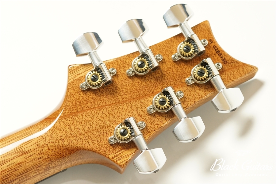 Custom 24 Pattern Thin 1-PieceBack - Blue Matteo
